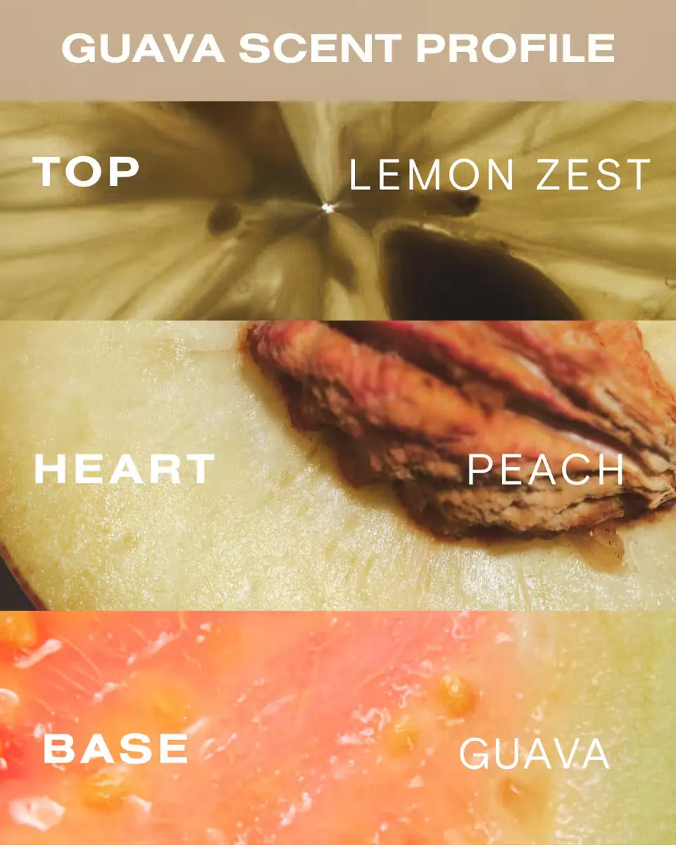 Guava Air Dry Kit - Image 5